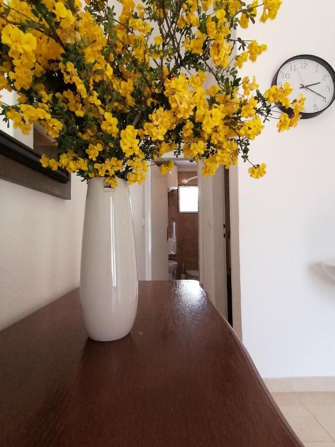 Apartment Borovi With Terrace And Parking Podaca Kültér fotó